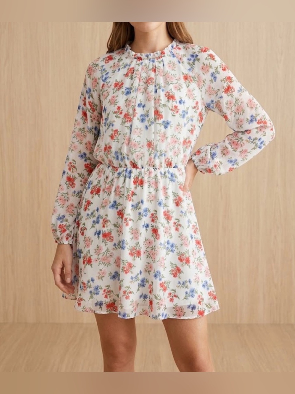 Blue Rain Floral Long Sleeve Dress L Cream Pink Blue Cottagecore Ruffle Mini